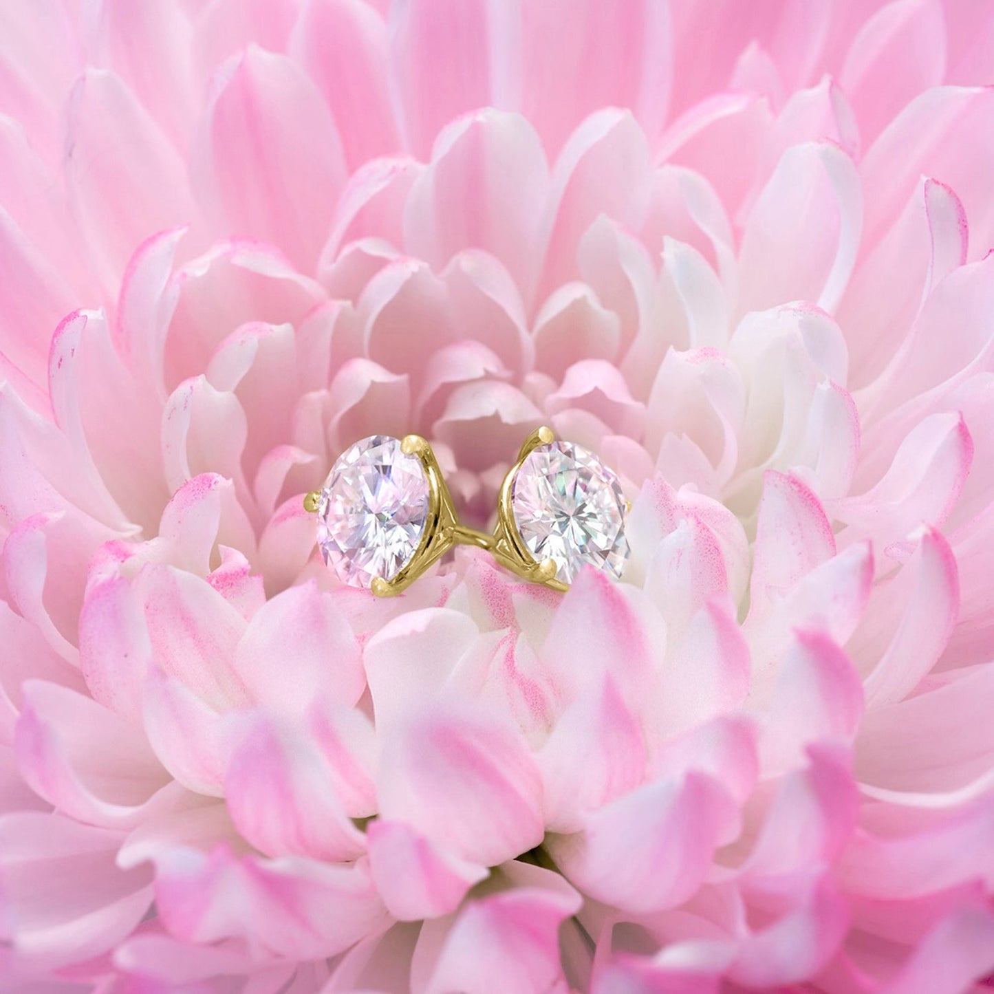 14K Yellow Gold White Moissanite Friction Back Martini Stud Earrings | 1.60 Cttw | Round 6MM | Gold Earrings For Women Men